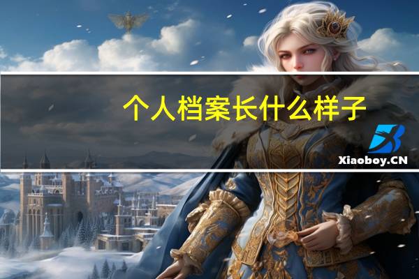 个人档案长什么样子