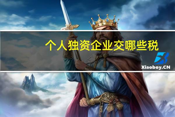 个人独资企业交哪些税