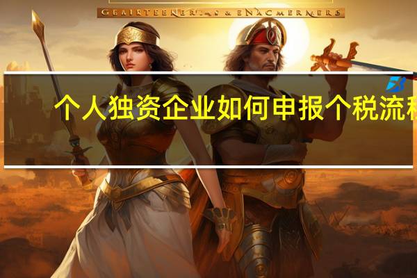个人独资企业如何申报个税流程