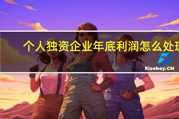 个人独资企业年底利润怎么处理
