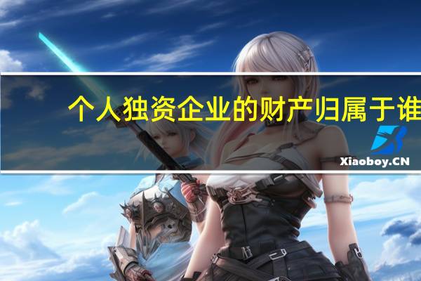 个人独资企业的财产归属于谁