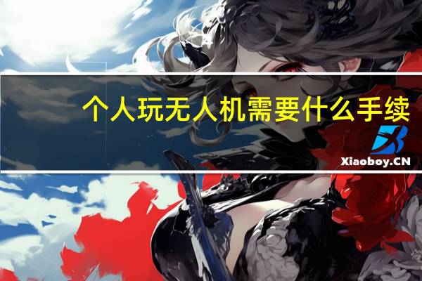 个人玩无人机需要什么手续