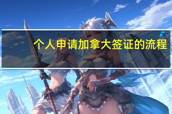 个人申请加拿大签证的流程