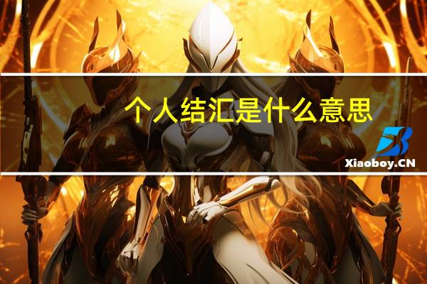 个人结汇是什么意思