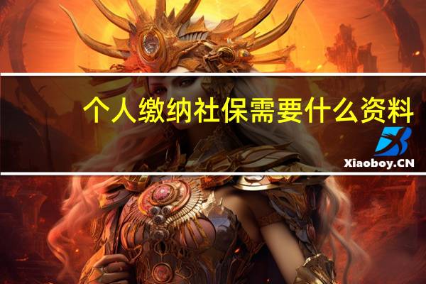 个人缴纳社保需要什么资料