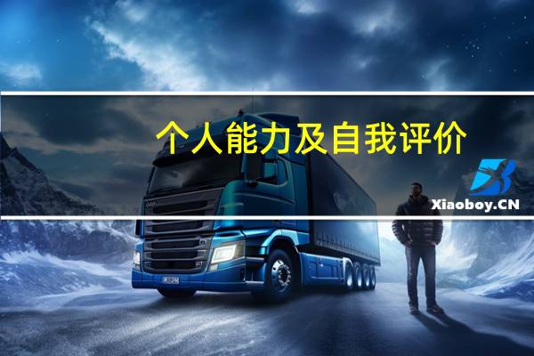 个人能力及自我评价