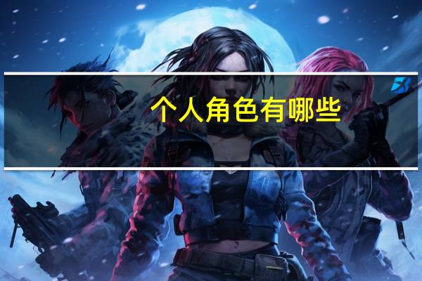 个人角色有哪些
