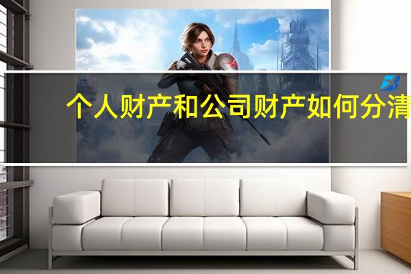 个人财产和公司财产如何分清