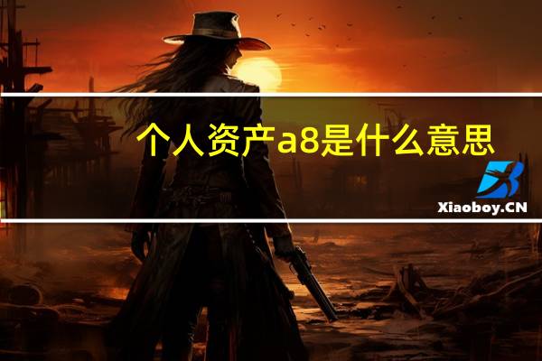 个人资产a8是什么意思