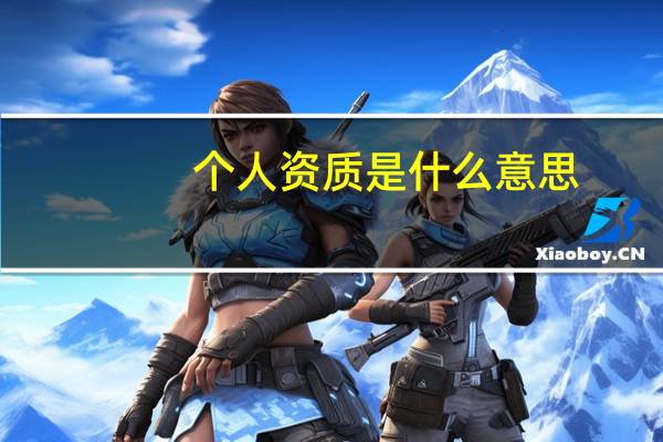 个人资质是什么意思