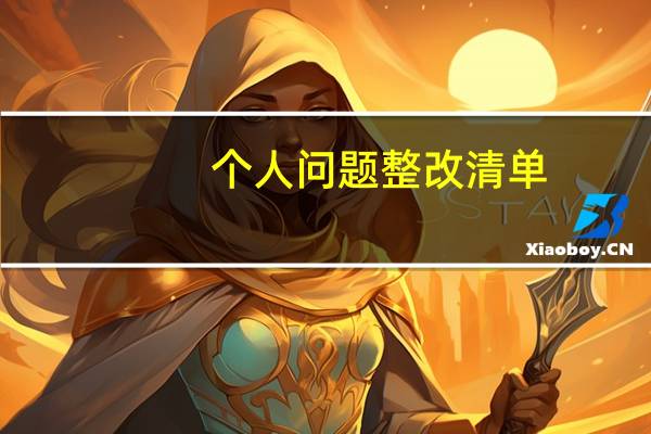 个人问题整改清单