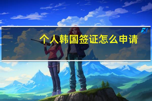 个人韩国签证怎么申请(个人去韩国怎么办签证)