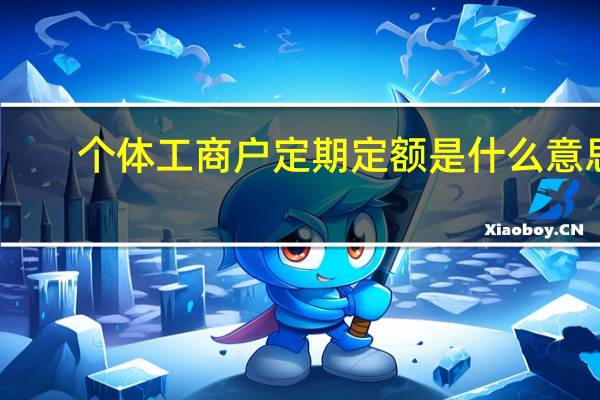 个体工商户定期定额是什么意思