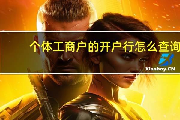 个体工商户的开户行怎么查询
