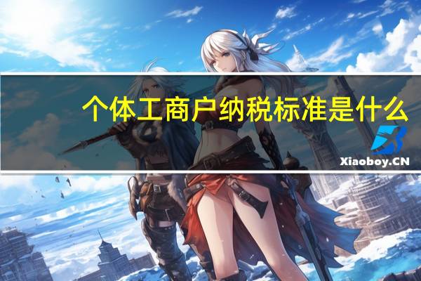 个体工商户纳税标准是什么