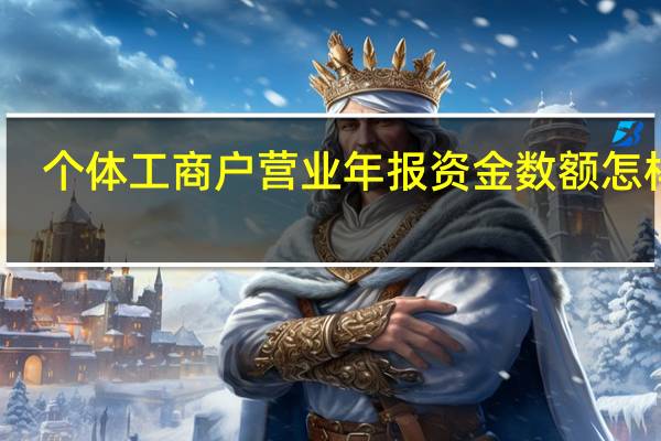 个体工商户营业年报资金数额怎样填