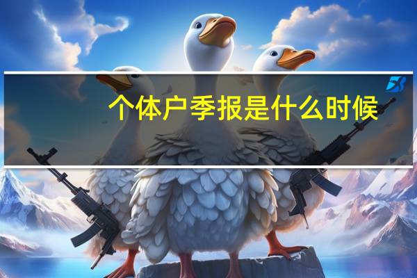 个体户季报是什么时候