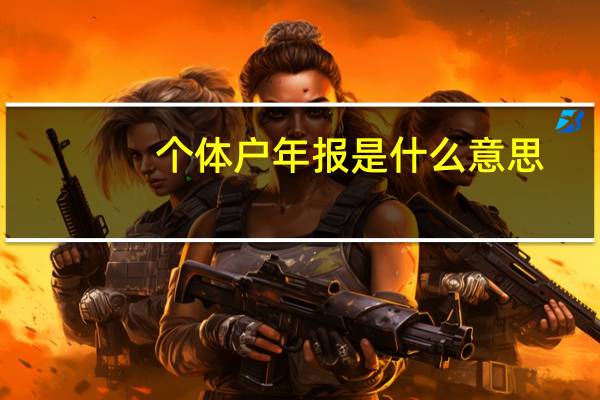 个体户年报是什么意思