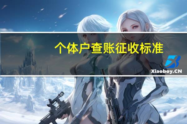 个体户查账征收标准