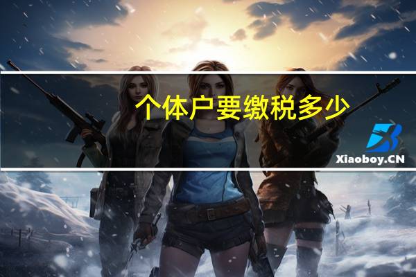个体户要缴税多少