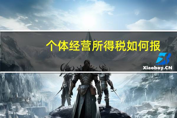 个体经营所得税如何报