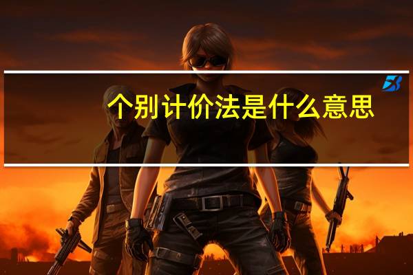 个别计价法是什么意思