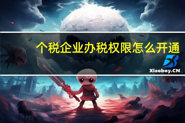 个税企业办税权限怎么开通