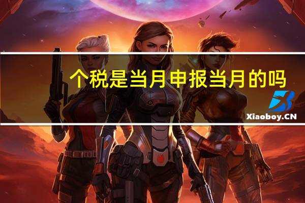 个税是当月申报当月的吗