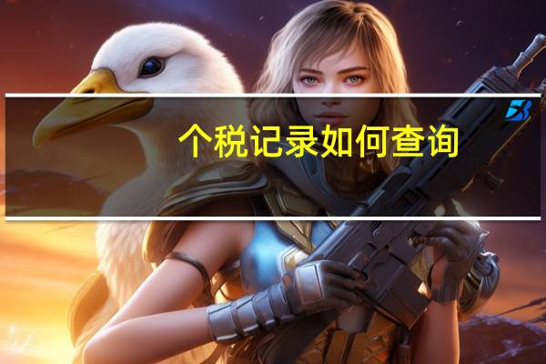 个税记录如何查询