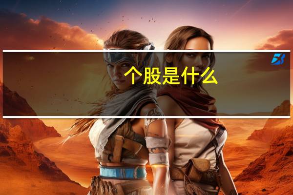 个股是什么