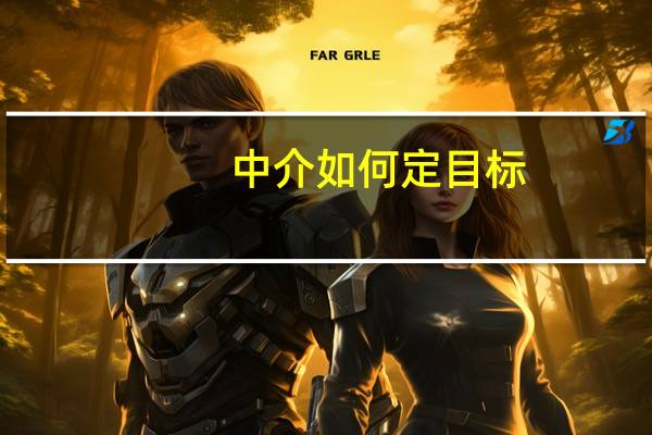 中介如何定目标