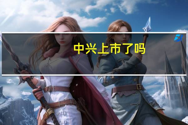 中兴上市了吗