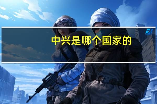 中兴是哪个国家的