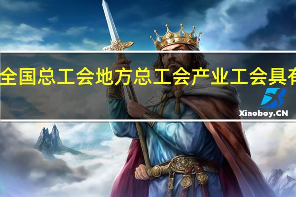 中华全国总工会地方总工会产业工会具有什么资格
