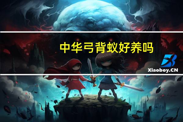 中华弓背蚁好养吗