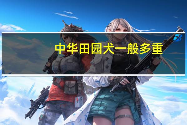 中华田园犬一般多重