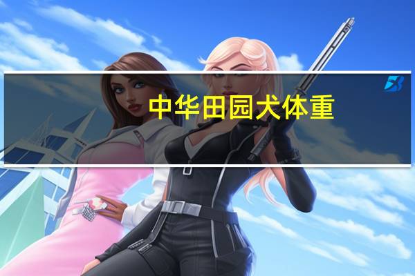 中华田园犬体重