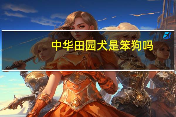 中华田园犬是笨狗吗