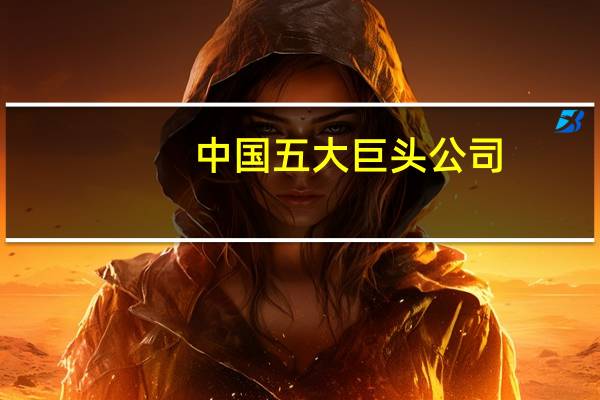 中国五大巨头公司