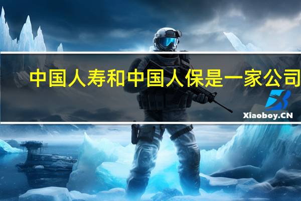 中国人寿和中国人保是一家公司吗