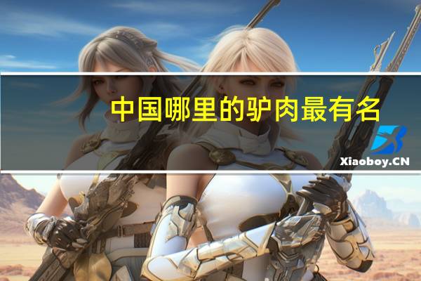 中国哪里的驴肉最有名