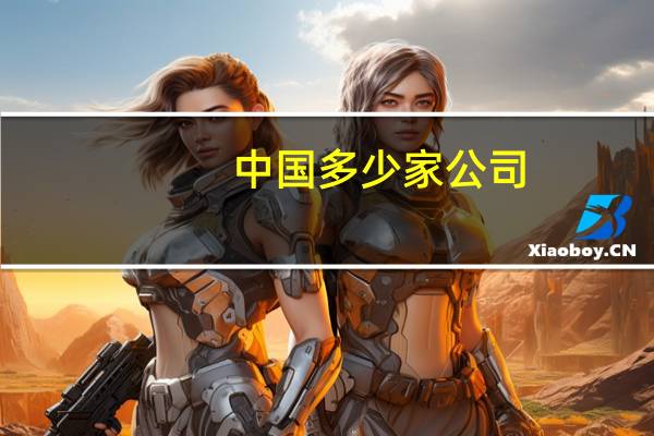 中国 多少家公司