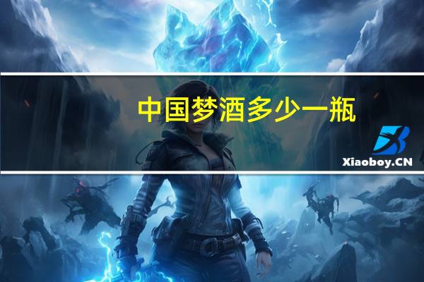中国梦酒多少一瓶