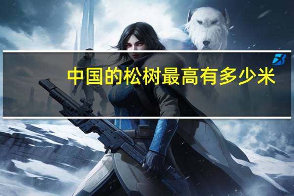 中国的松树最高有多少米