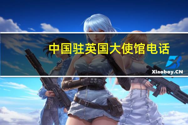 中国驻英国大使馆电话