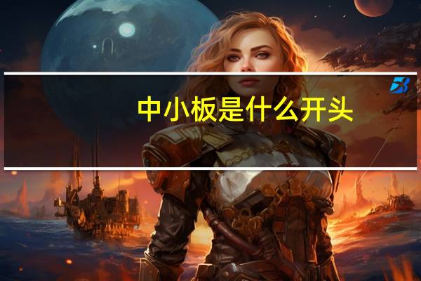 中小板是什么开头