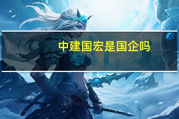 中建国宏是国企吗
