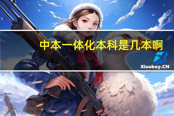 中本一体化本科是几本啊