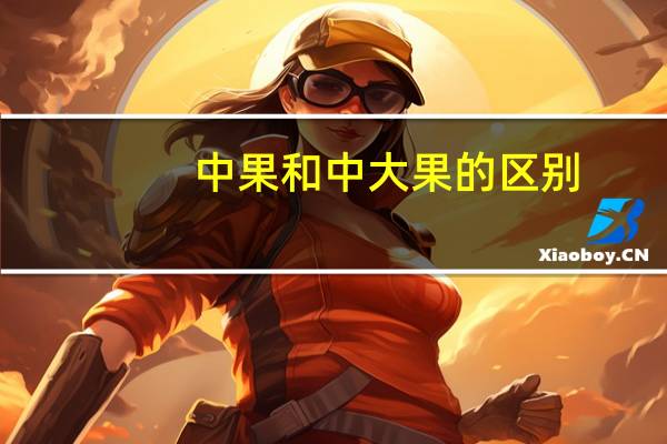 中果和中大果的区别