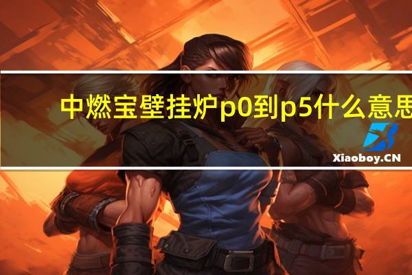 中燃宝壁挂炉p0到p5什么意思